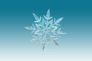 snowflake, ice crystal, winter-1065155.jpg
